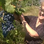 Flora's 'the Fir Gate' Πανσιόν Αργυρόκαστρο