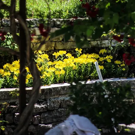 Flora's 'the Fir Gate' Gasthuis