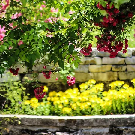 Flora's 'the Fir Gate' 3*