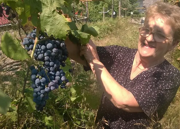 Flora's 'the Fir Gate' Гостевой дом Гирокастра