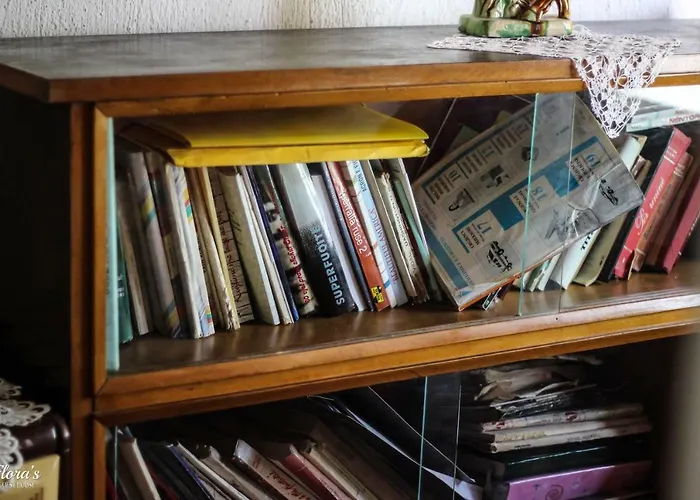 Flora's 'the Fir Gate' Гостевой дом Гирокастра